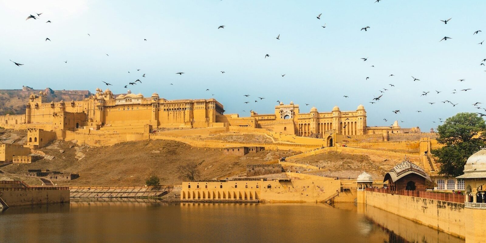 birds flying over river during daytime